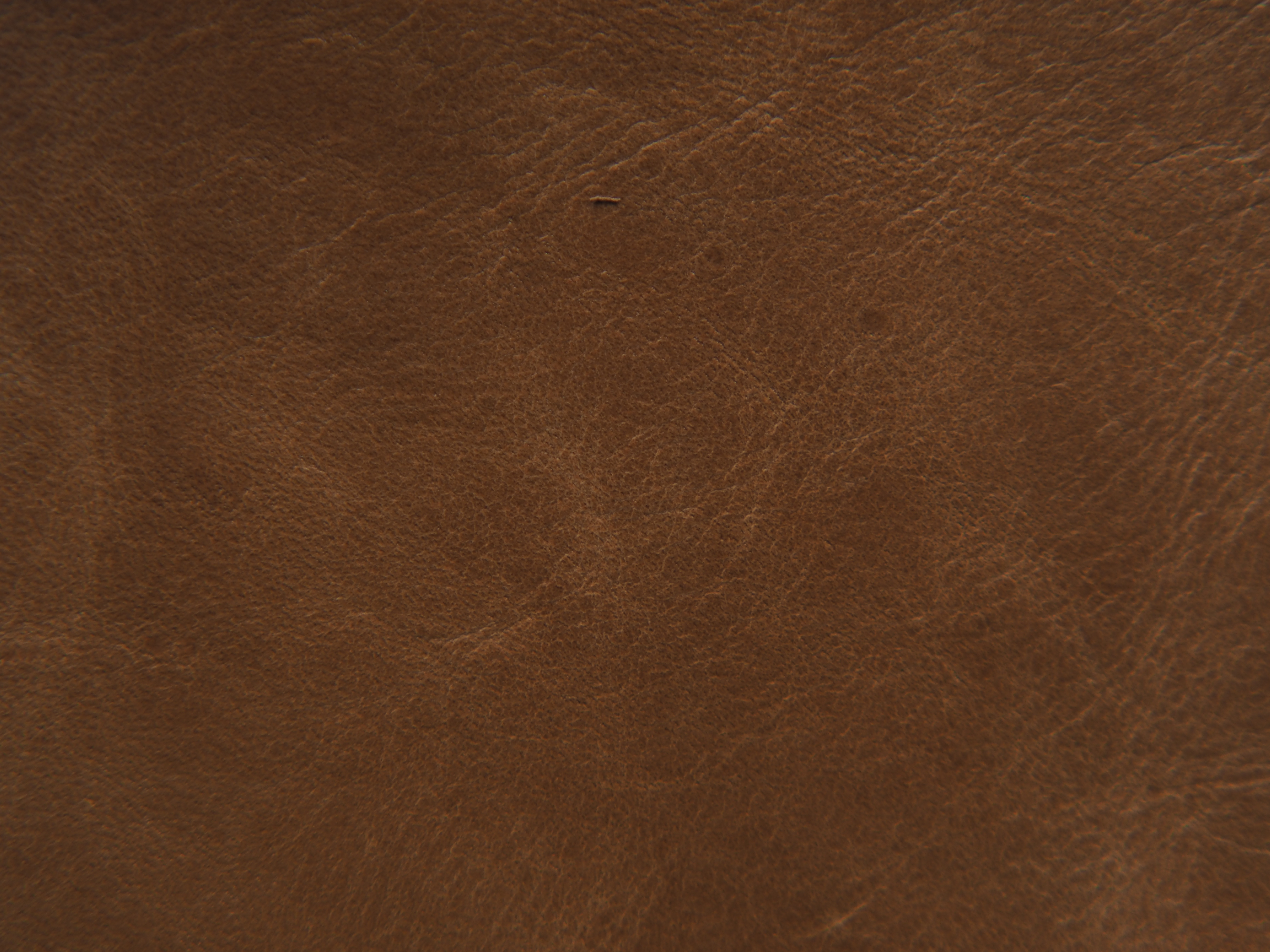 CODICE CER 25 NR PELLI 10